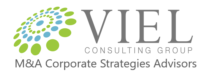 Viel Consulting Group